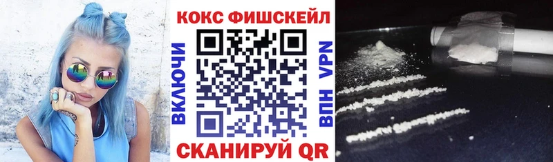 COCAIN FishScale  купить наркоту  Камбарка 