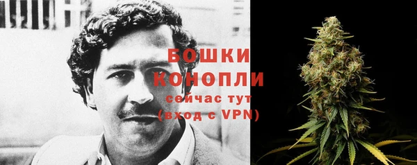 мескалин Инта