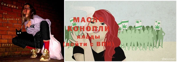 твердый Инсар