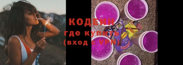 твердый Инсар