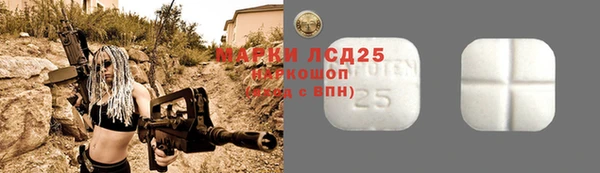 твердый Инсар