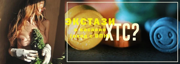 твердый Инсар