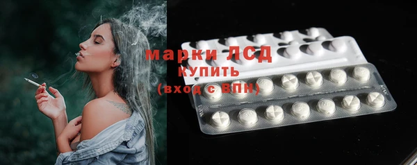 сатива Иннополис