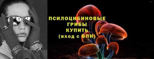 твердый Инсар
