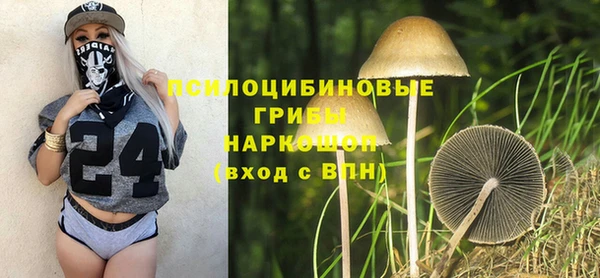 твердый Инсар