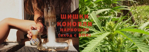 твердый Инсар