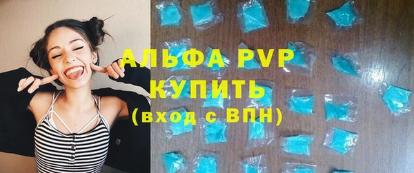 сатива Иннополис