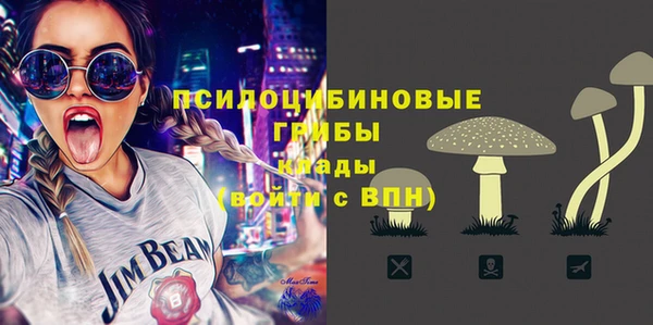 твердый Инсар