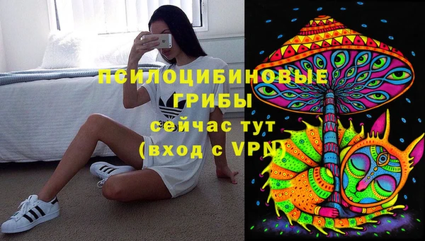 сатива Иннополис